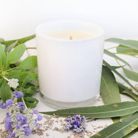 Eucalyptus Leaf & Lavender